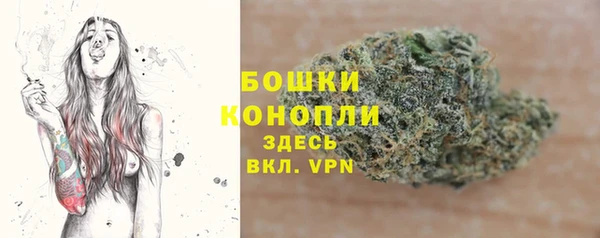 spice Абинск
