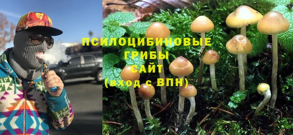 прущие крисы Абаза