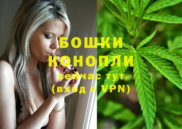 spice Абинск