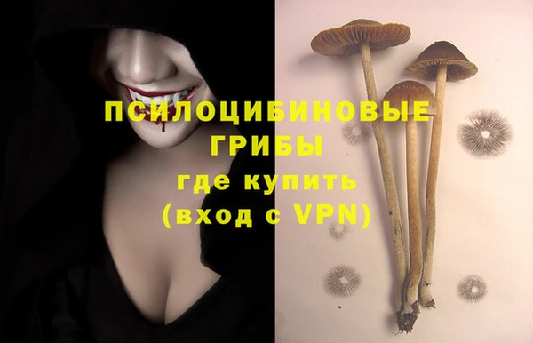 хмурый Протвино