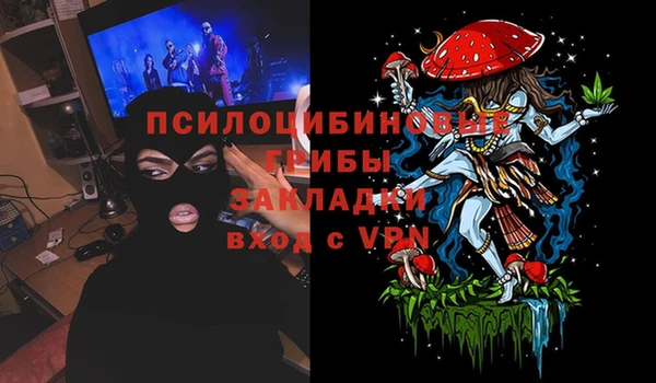 прущие крисы Абаза