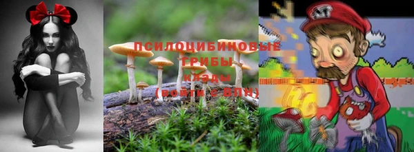 spice Абинск